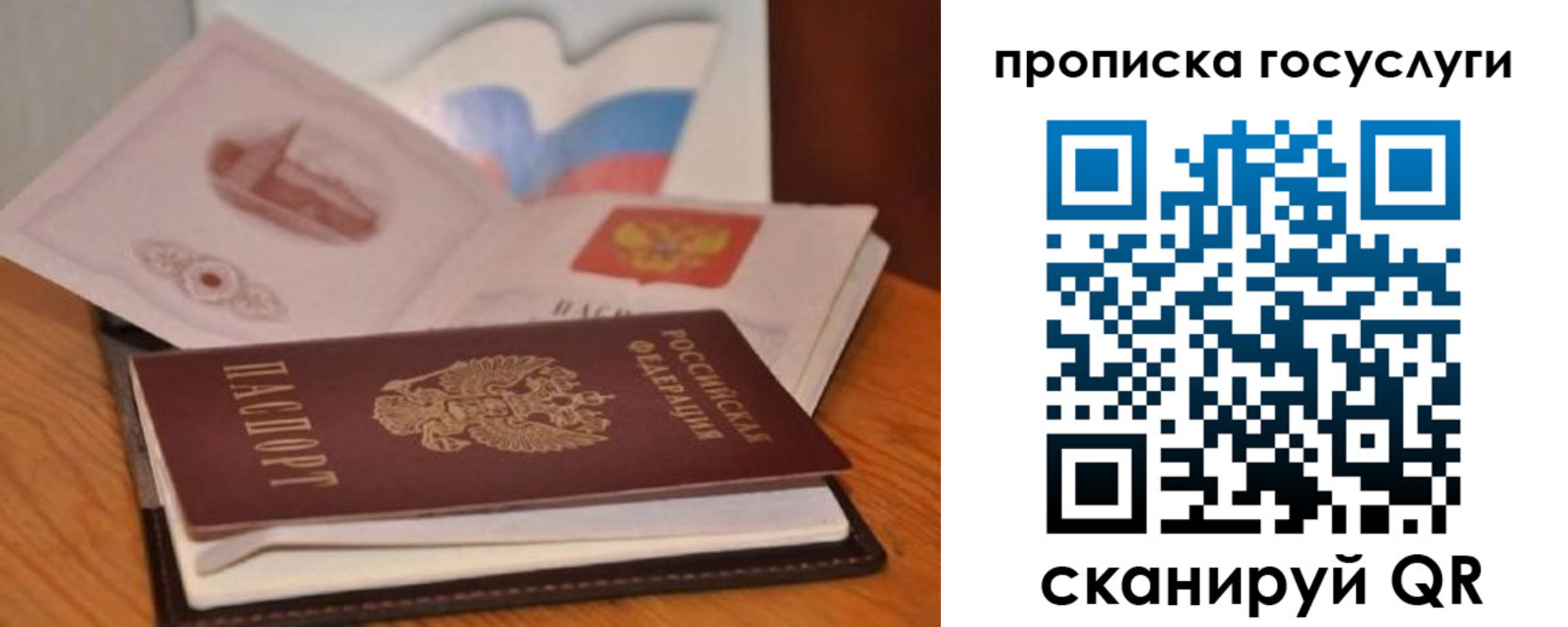 прописка в квартире в Краснодаре